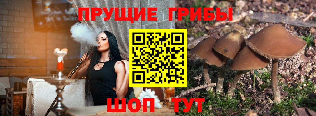 Ялта  Псилоцибиновые грибы Psilocybine cubensis  купить наркотик  Вход с VPN  Псилоцибиновые грибы Magic Shrooms 
