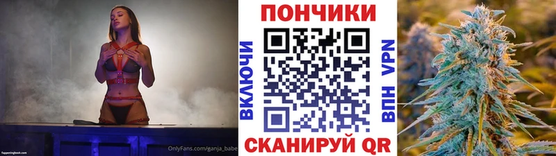 закладка  Ялта  Каннабис тримм 